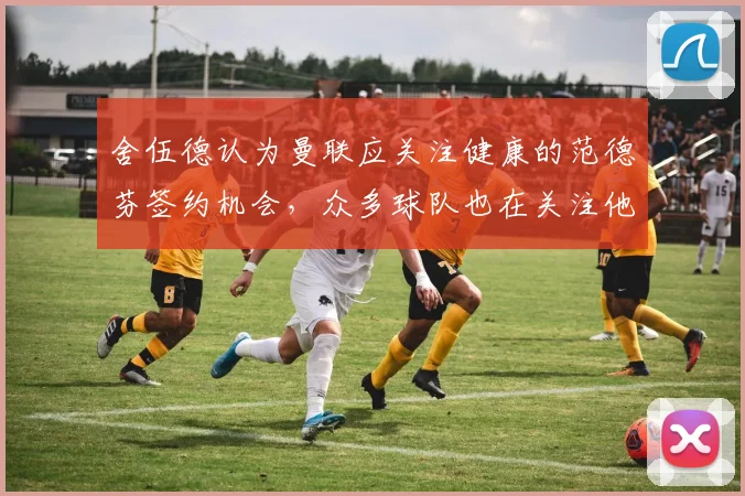 舍伍德认为曼联应关注健康的范德芬签约机会，众多球队也在关注他
